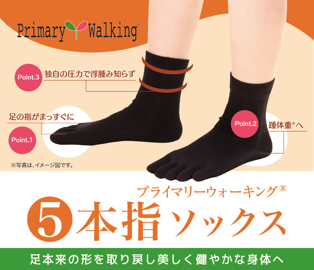 プライマリーウォーキング<sup>&reg;</sup> 5本指ソックス